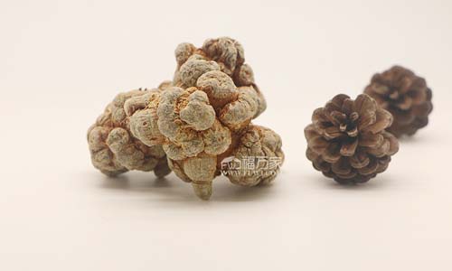 吃三七燉雞就能長(zhǎng)高？