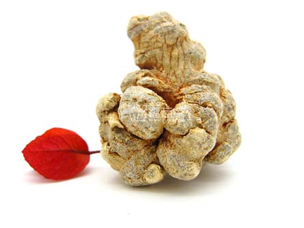 買三七粉注意價(jià)格