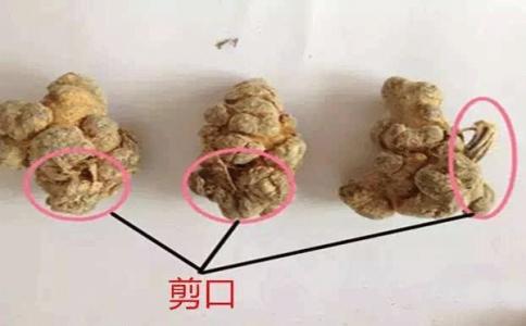 三七不帶剪口滑頭的好