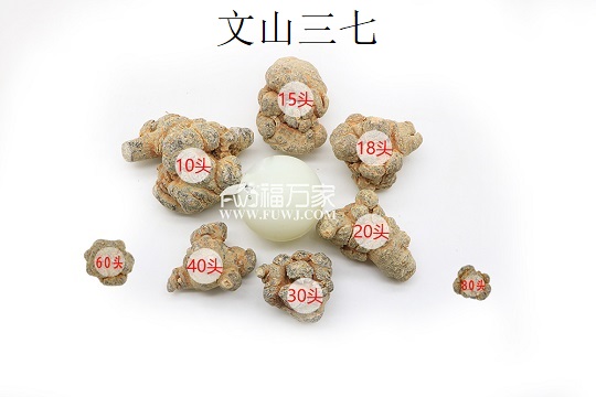 20頭三七比30頭好